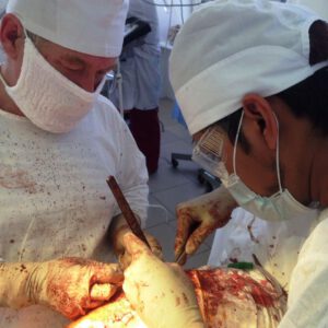 STUDY MBBS IN RUSSIA, study medicine in russia, medicine courses in russia, Top Courses in Russia